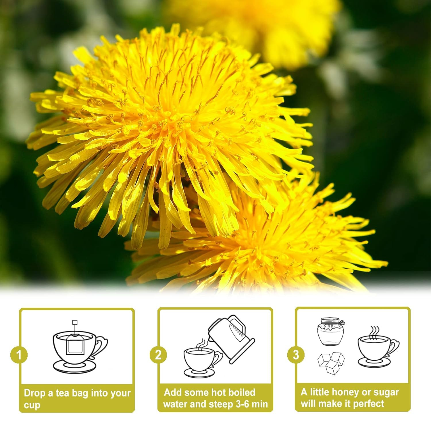 – Dandelion Root Tea – 2.5G X 50 Count Premium Raw Dandelion Root Tea Bags – Caf
