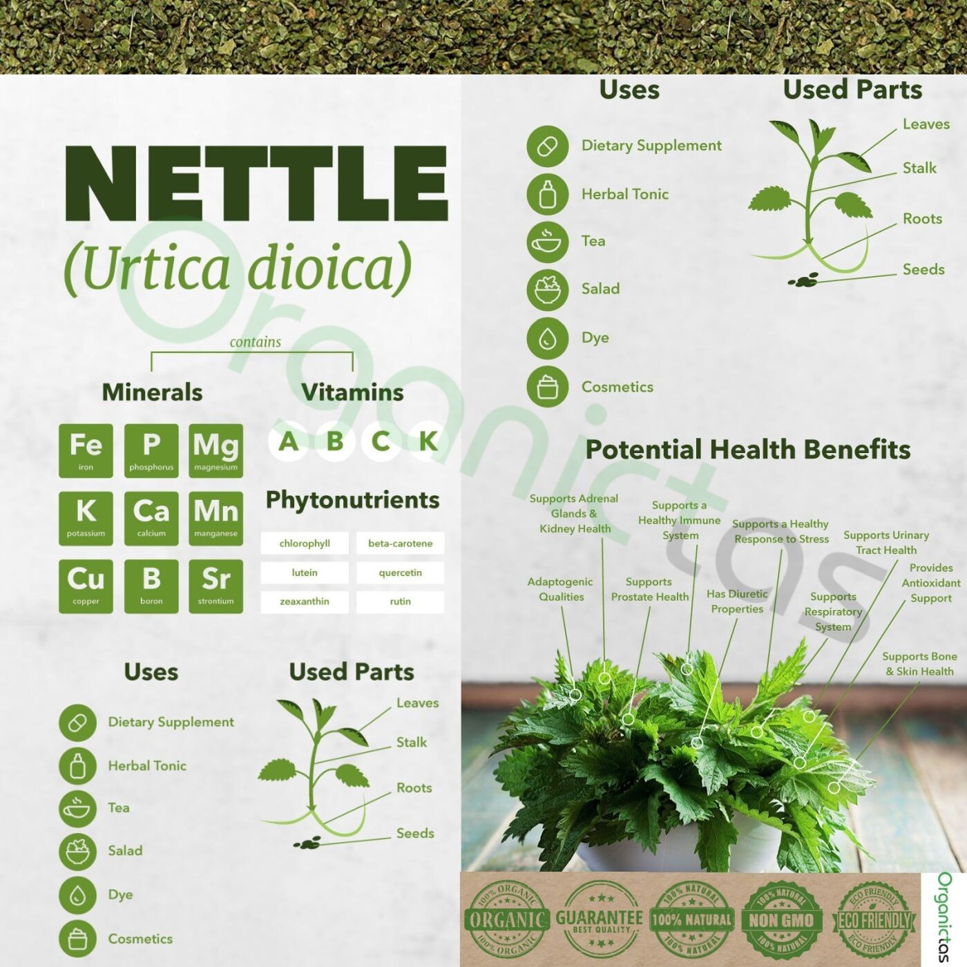 Organic NETTLE SEED TEA – Dried & Crushed Nettle Seeds Tea with Benefits 200g