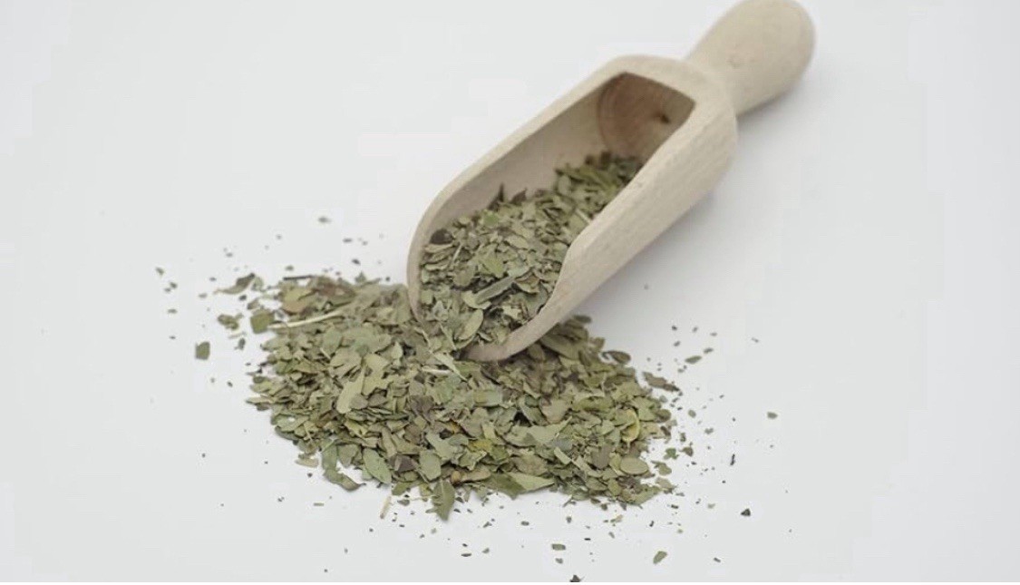 Organic Yaupon Holly Tea lb bulk