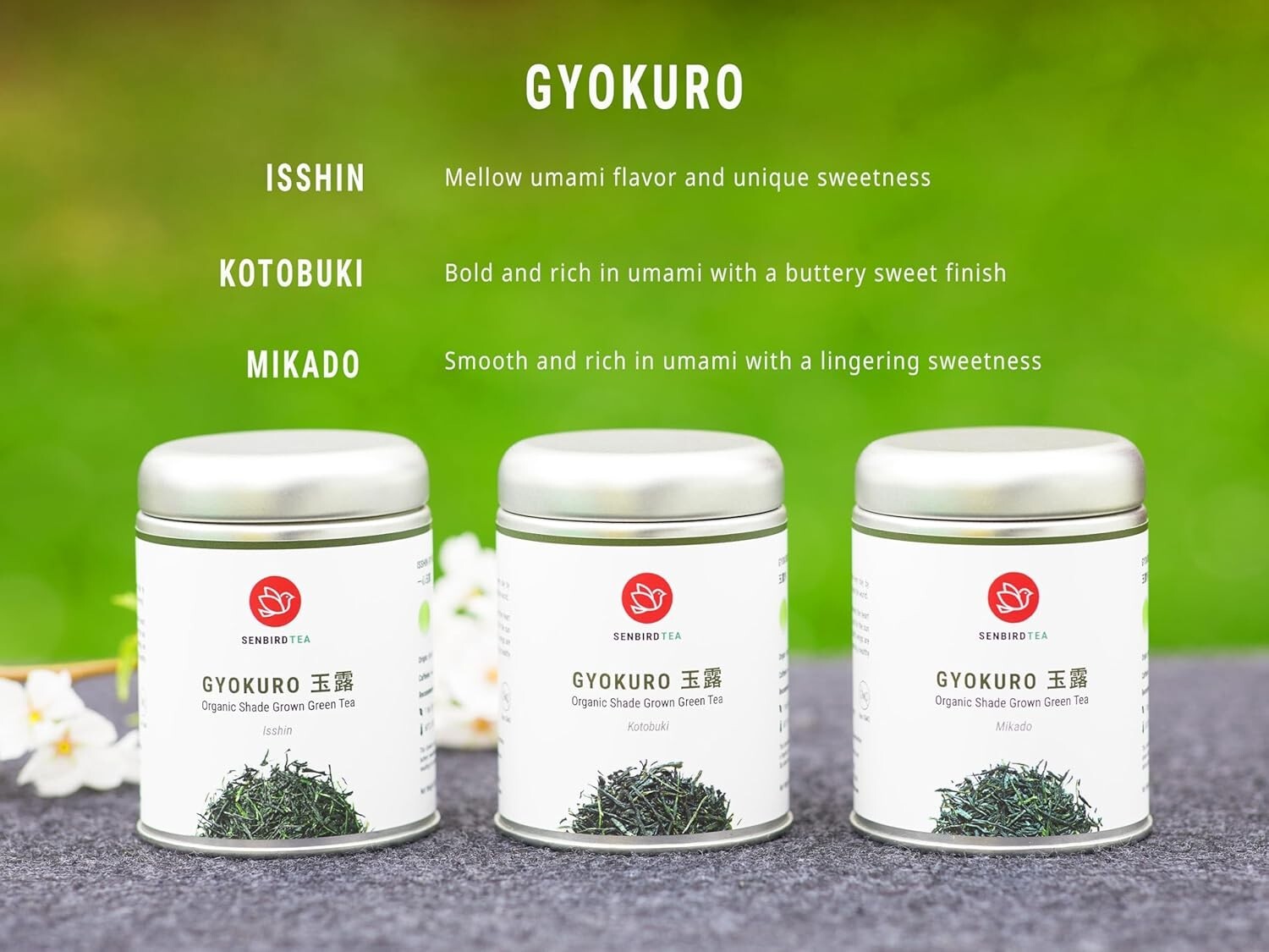 Authentic Shade Grown Gyokuro Green Tea – Premium Loose Leaf 1.76oz Airtight Tin