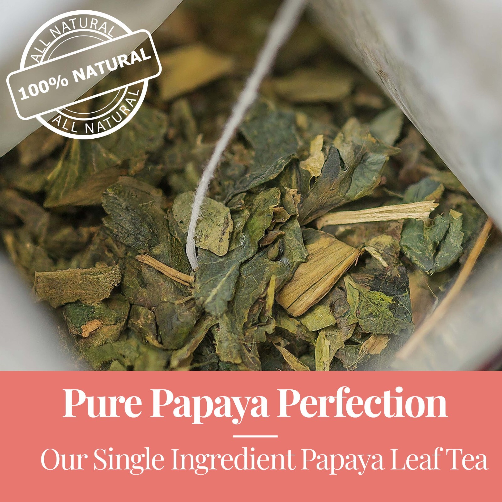 75 Papaya Tea Bags, Papaya Leaf Tea, Te De Hojas De Papaya, Herbal Tea