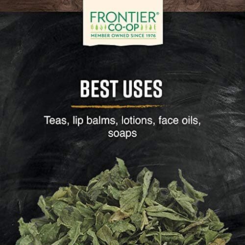 Frontier Co-op Organic Red Raspberry Leaf 16 Fl Oz Herbal Supplement Tea