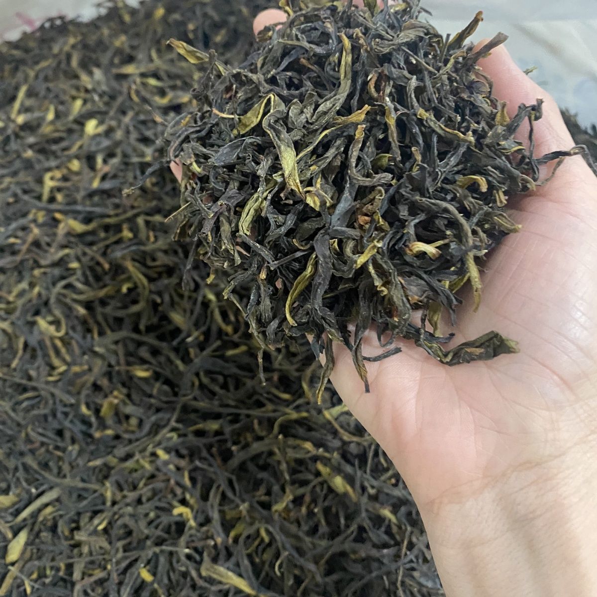Chinese Tea Chaozhou Dancong Oolong Tea with Honey Sweet Taste Ya Shi Xiang