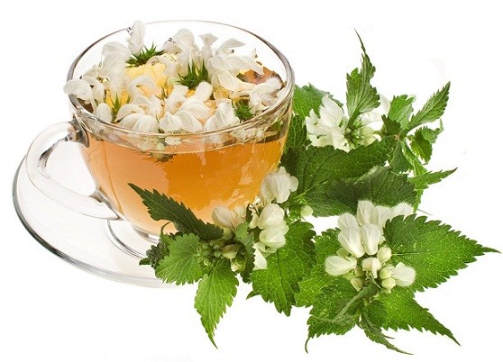 Raspberry Leaf – Rubus idaeus Loose Leaf – Wild Crafted from Europe