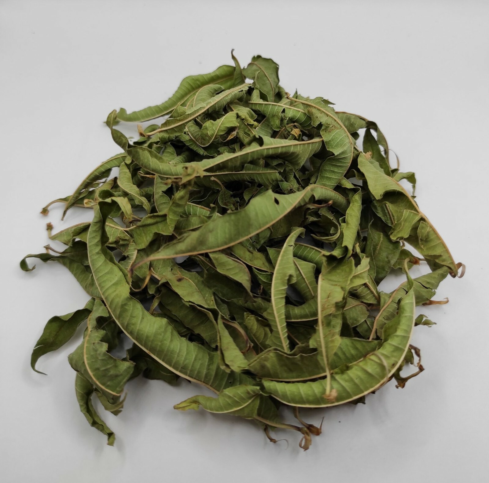 Greek Lemon Verbena Dried Whole Leaves 85 grams(3.1oz) Harvest June 2024