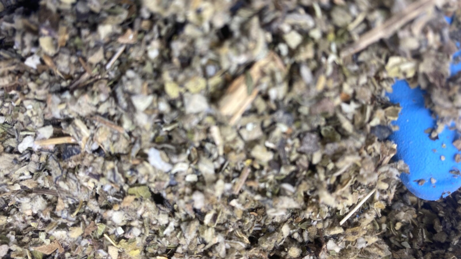Peppermint Lobelia Coltsfoot Mullein – Organic Bulk Herbal Mixture 1 2 4 8 ounce