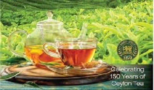 Pure Ceylon tea Black Natural powder BOPF Bogawantalawa Sri lankan 400g/14.1Oz