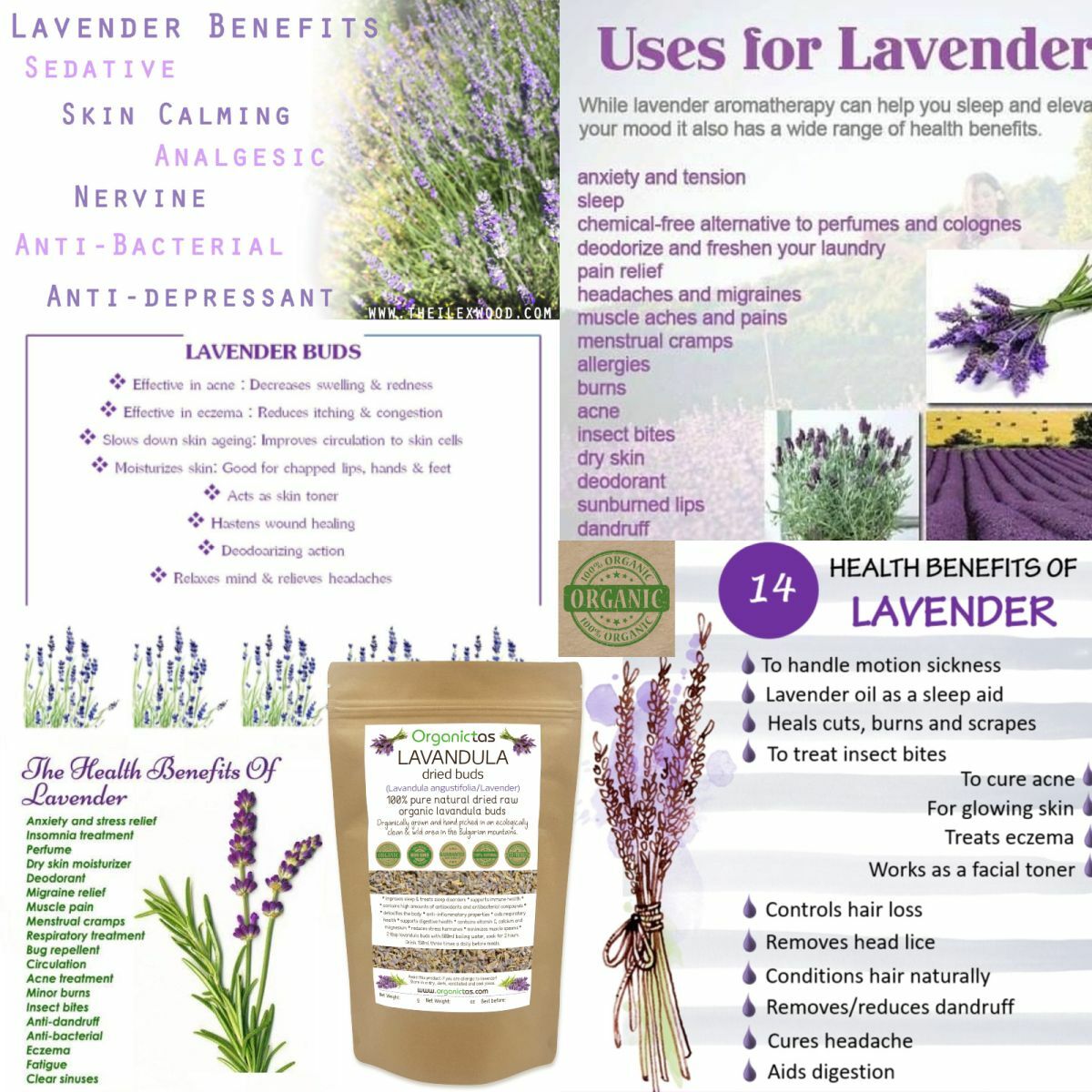 100g Organic LAVENDER FLOWER Herbal Tea Natural Scent & Aroma Premium Quality