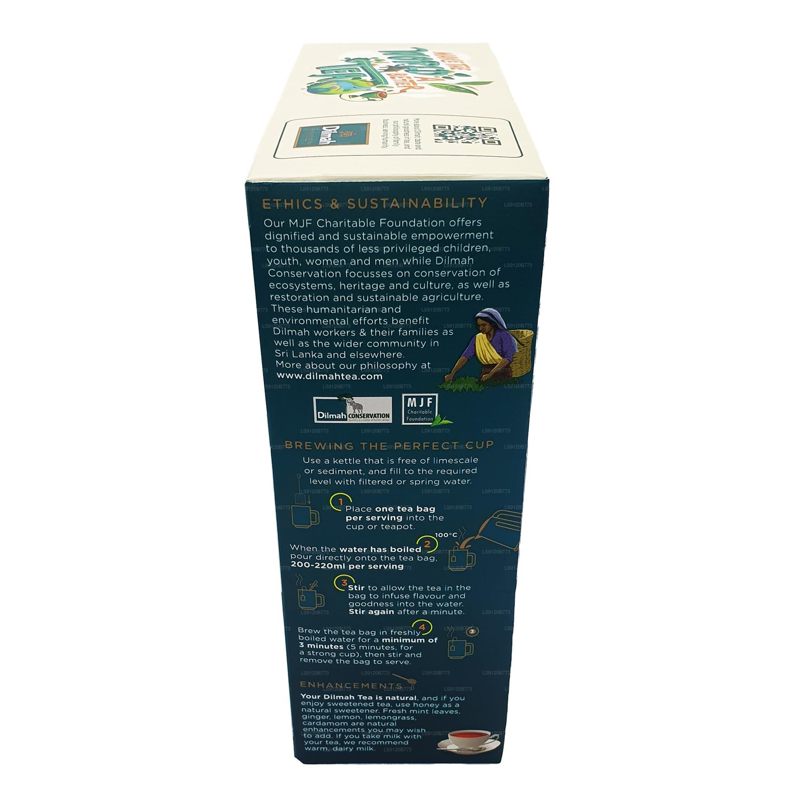 Dilmah Premium Ceylon Tea (200g) 100 Bags 100 Count (Pack of 1)