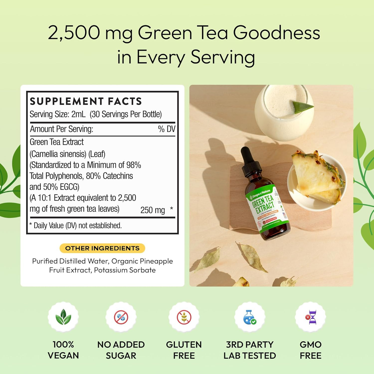 Green Tea 10:1 Extract 50% EGCG – Green Tea Liquid Drops – Vegan, 4X More Pow…