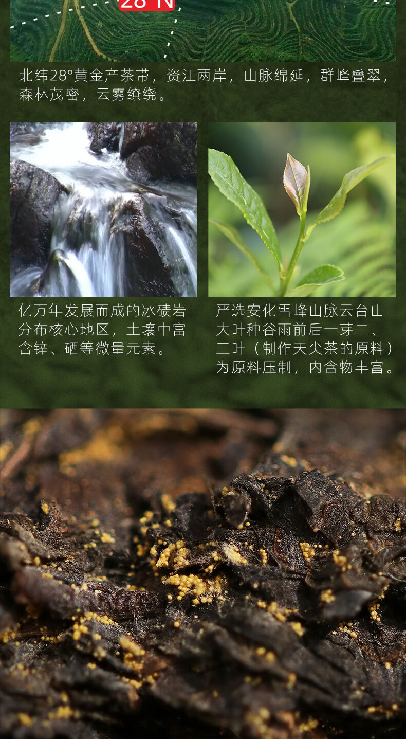 TIAN FU CHA Anhua Baishaxi 1939 Dark Tea Black Tea Gold Flower Tea Brick 1kg