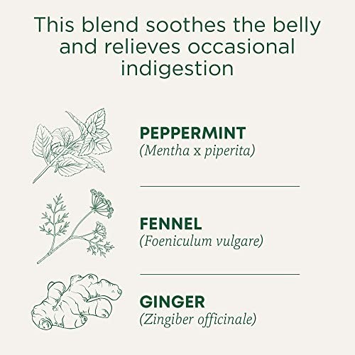 Herbal Digestion Tea Peppermint Fennel Ginger Organic Caffeine Free Kosher