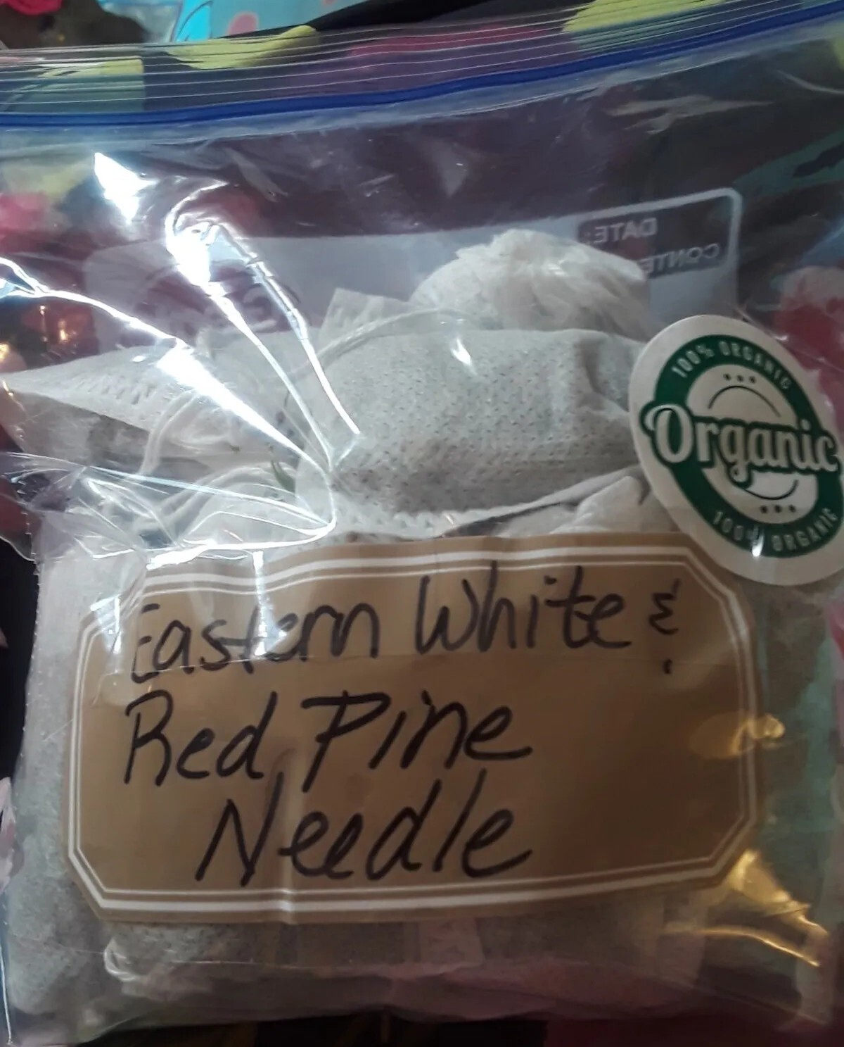 Lot: 20 Organic Eastern White Pine Needle Tea Bag & Red Pine Tea Bags Fresh Tree