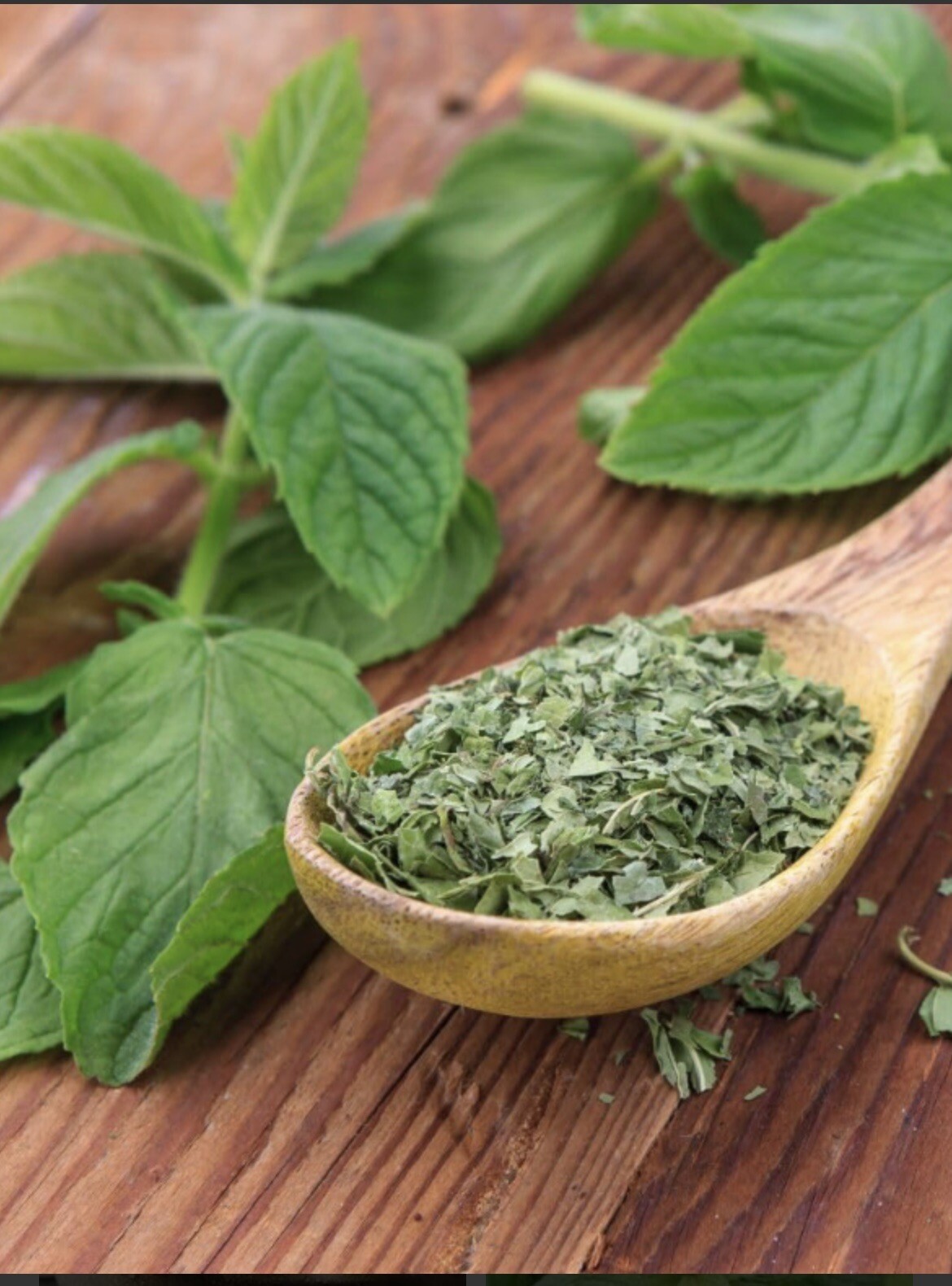 Peppermint Dried Cut Leaves Loose Herbal Tea 1 Pound Lb Mentha Pipperita