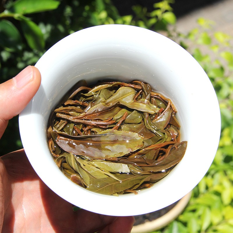 500g Yunnan Pu’er Tea Raw Tea Bulk 2023 Ancient Tree Raw Pu’er Tea