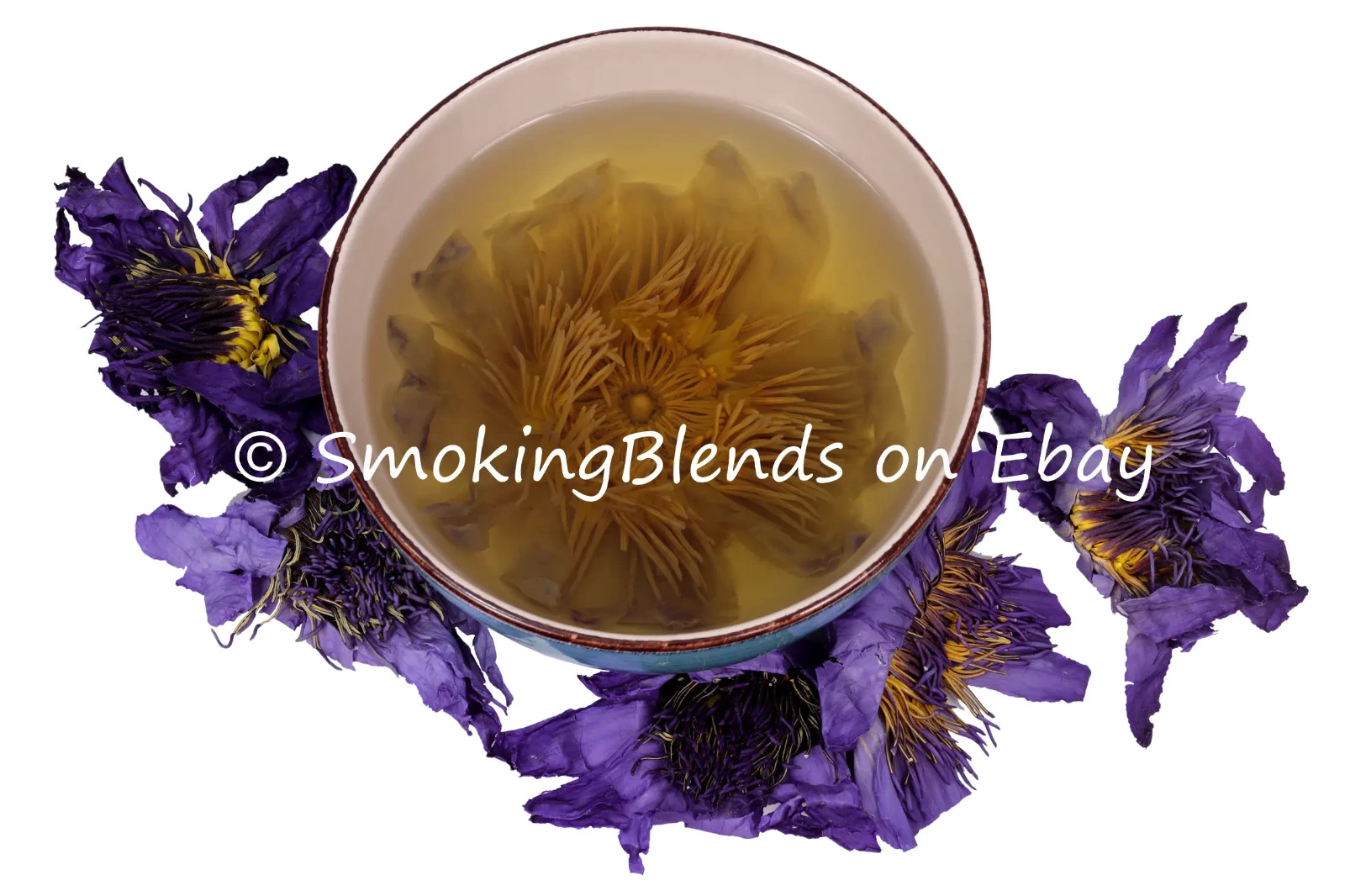 Blue Lotus Flowers – Egyptian Whole – Premium Tea – 1/4 oz to 4 oz