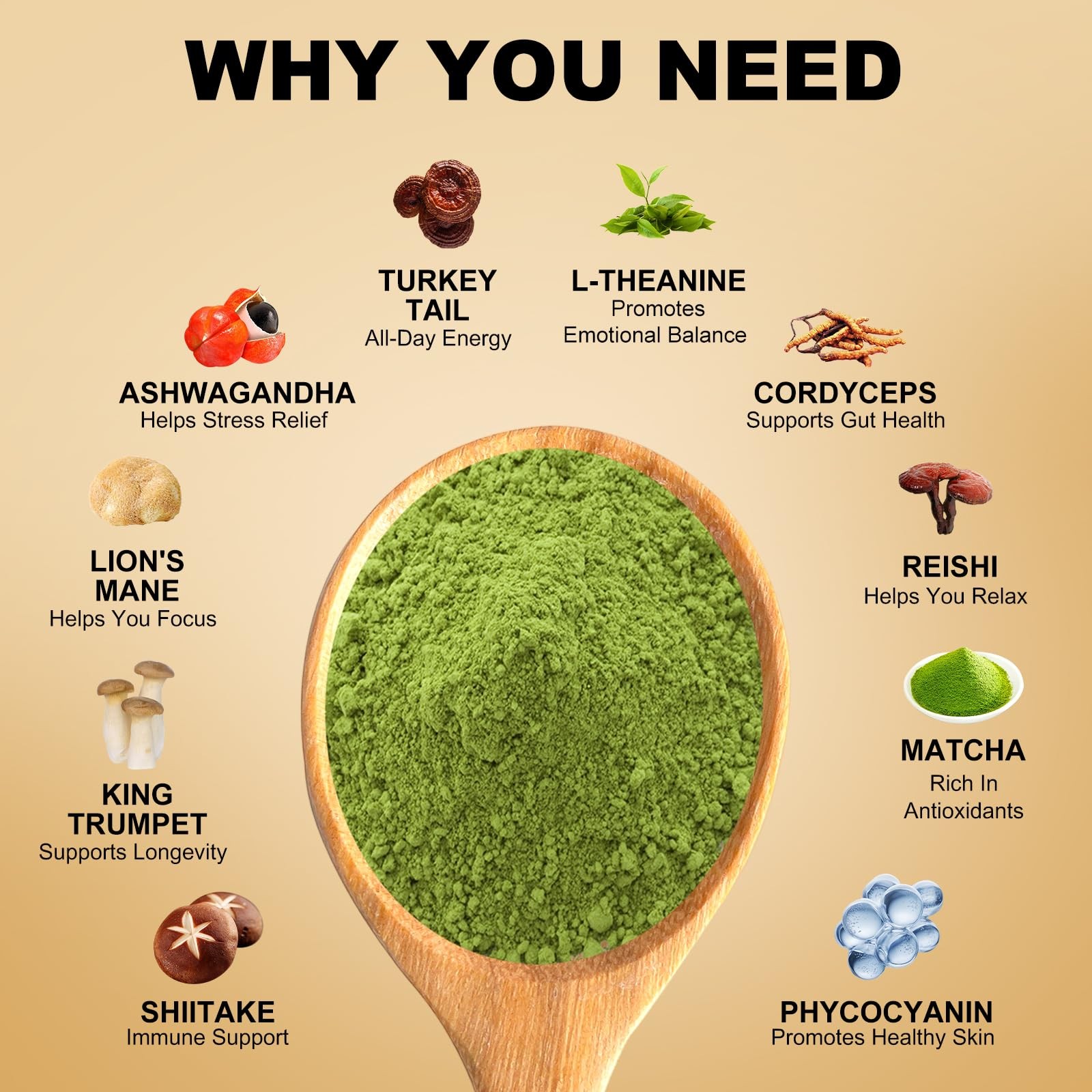 Mushroom Matcha, with 6 Adaptogenic Mushrooms and Ceremonial-Grade Matcha for…