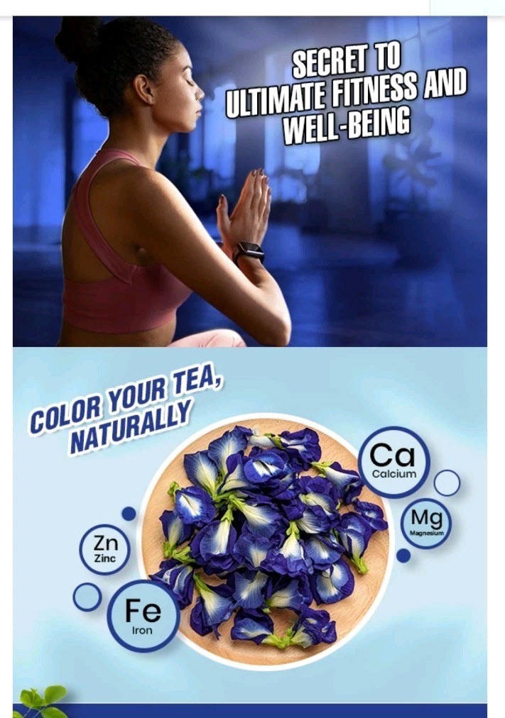 BLUE TEA Butterfly Pea Flower 30 Tea Bags Antioxidant Caffeine Free Detox Herbal