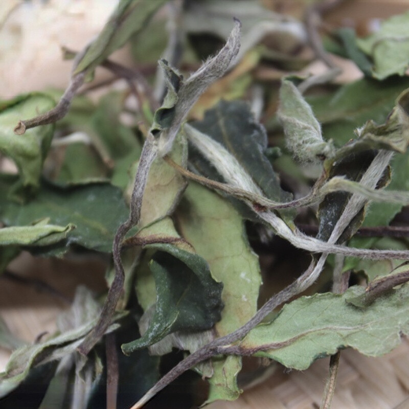 White Tea Fuding High Mountain Loose Leaf Natural Flower Fragrant 500g