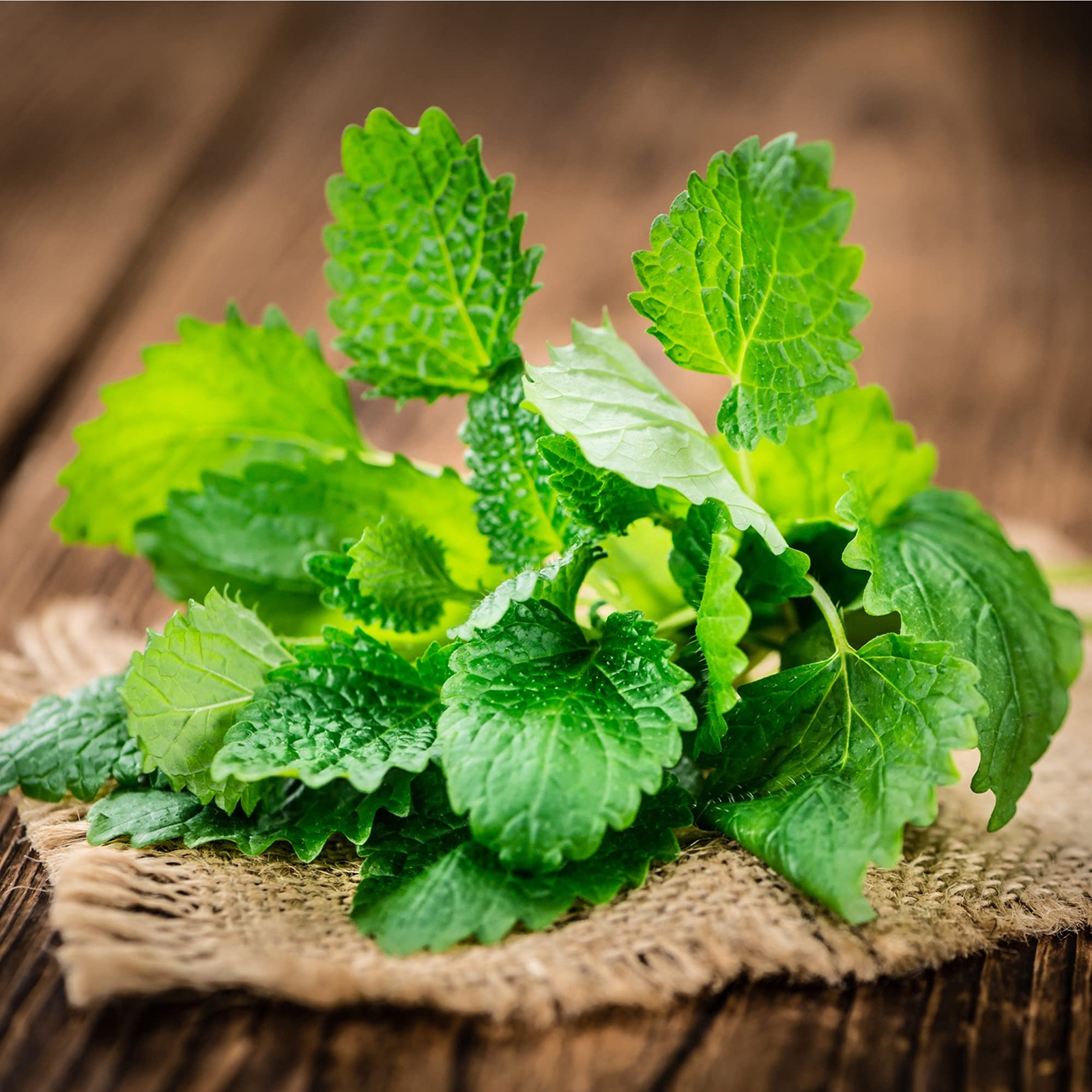 Frontier Co-op Organic Lemon Balm Leaf Herbal Tea 1 Pound Certified Organic