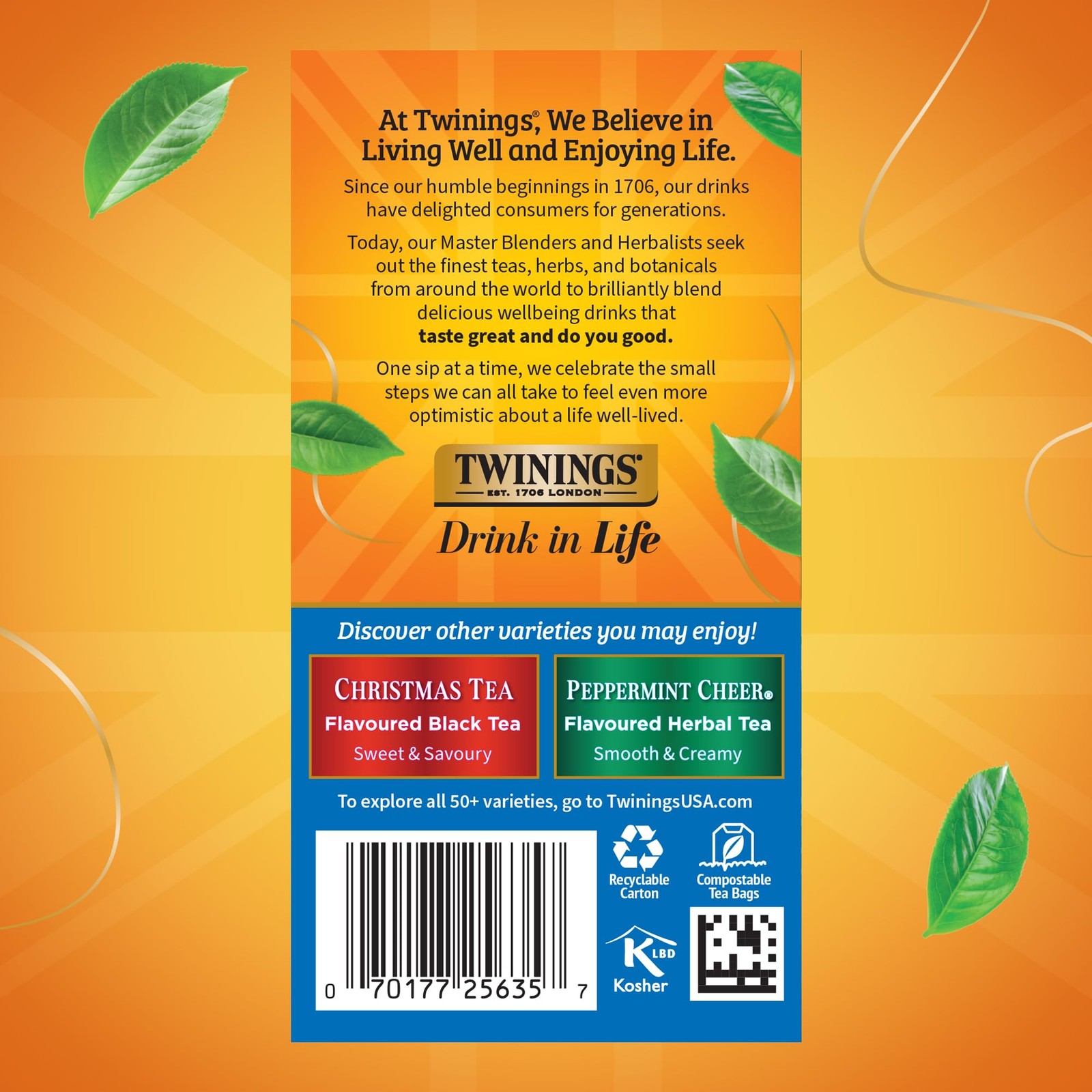 Twinings Winter Spice Herbal Tea Individually 20 Count (Pack of 1), Brown