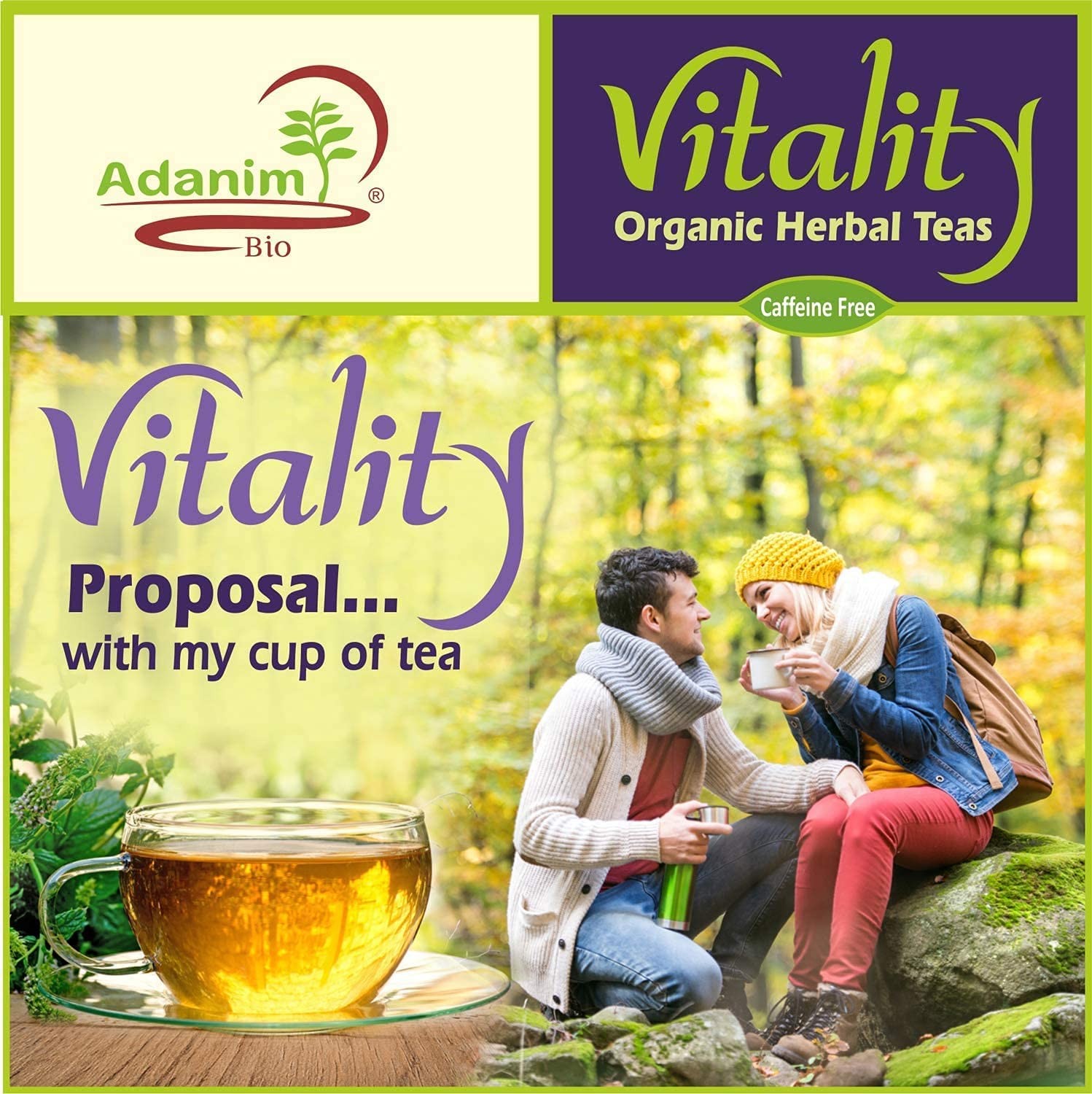 Vitality Organic Herbal Tea Sampler Gift Box Caffeine Free 8 Unique Flavors f…