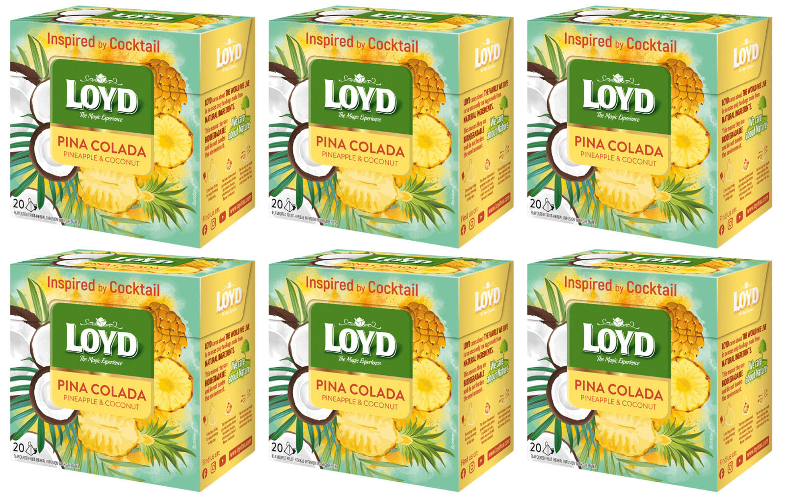 6 LOYD PINA COLADA Pineapple & Coconut Flavor 20 Pyramid Bags Tea Boxes 34g