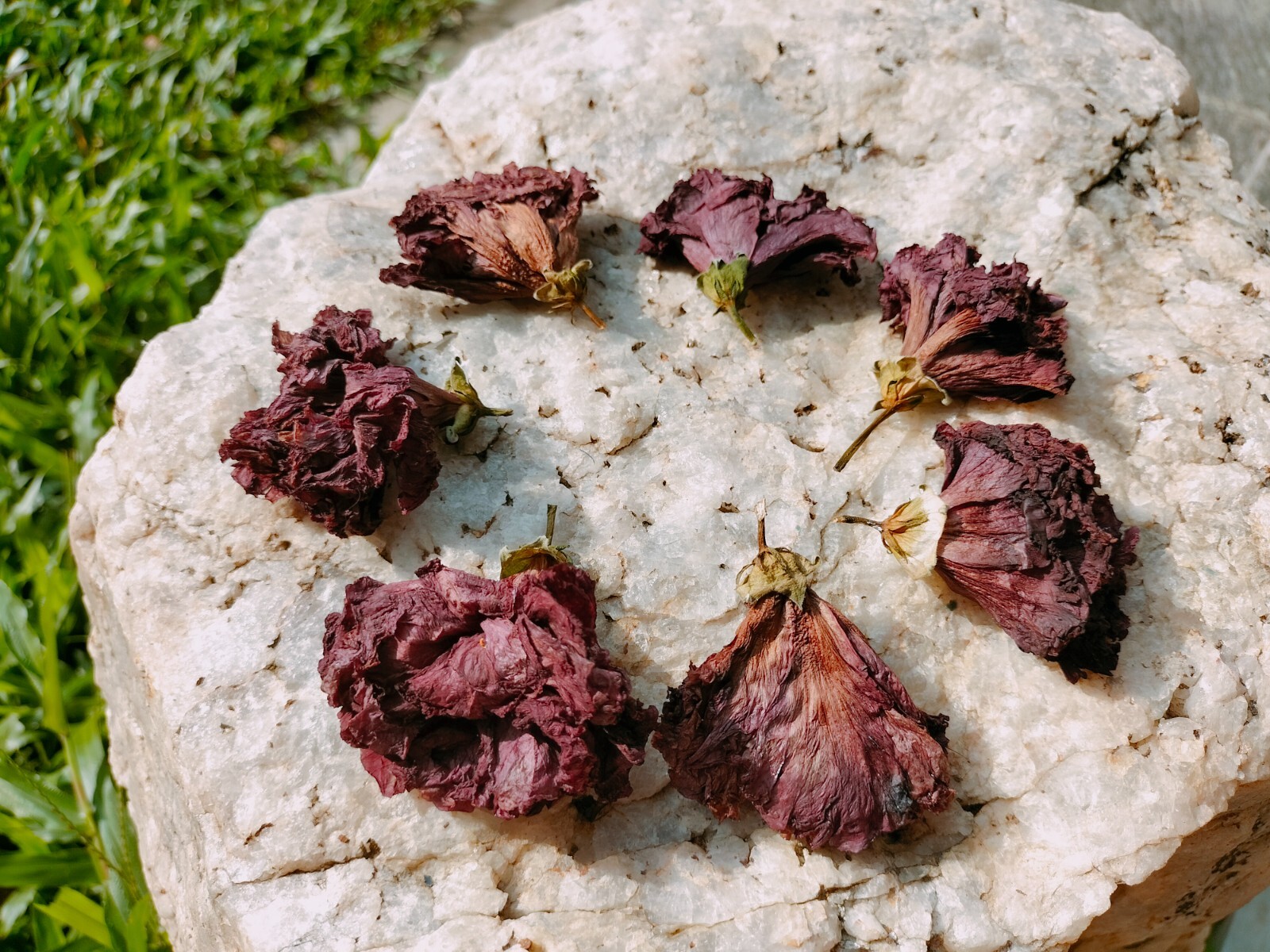 Greek Organic Hibiscus Dried Flowers Pcs Hibiscus Sabdariffa 25 Pcs Flowers New