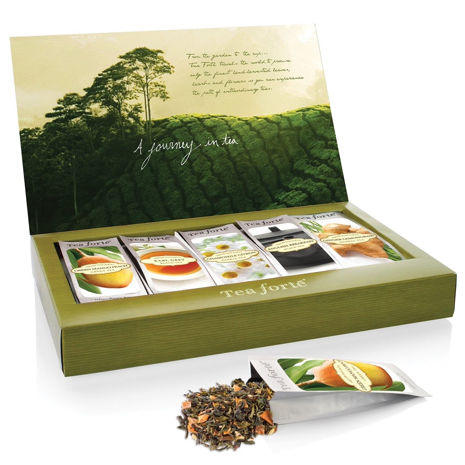 Tea Forte Single Steeps Loose Leaf Tea Sampler, Assorted Variety Box 15