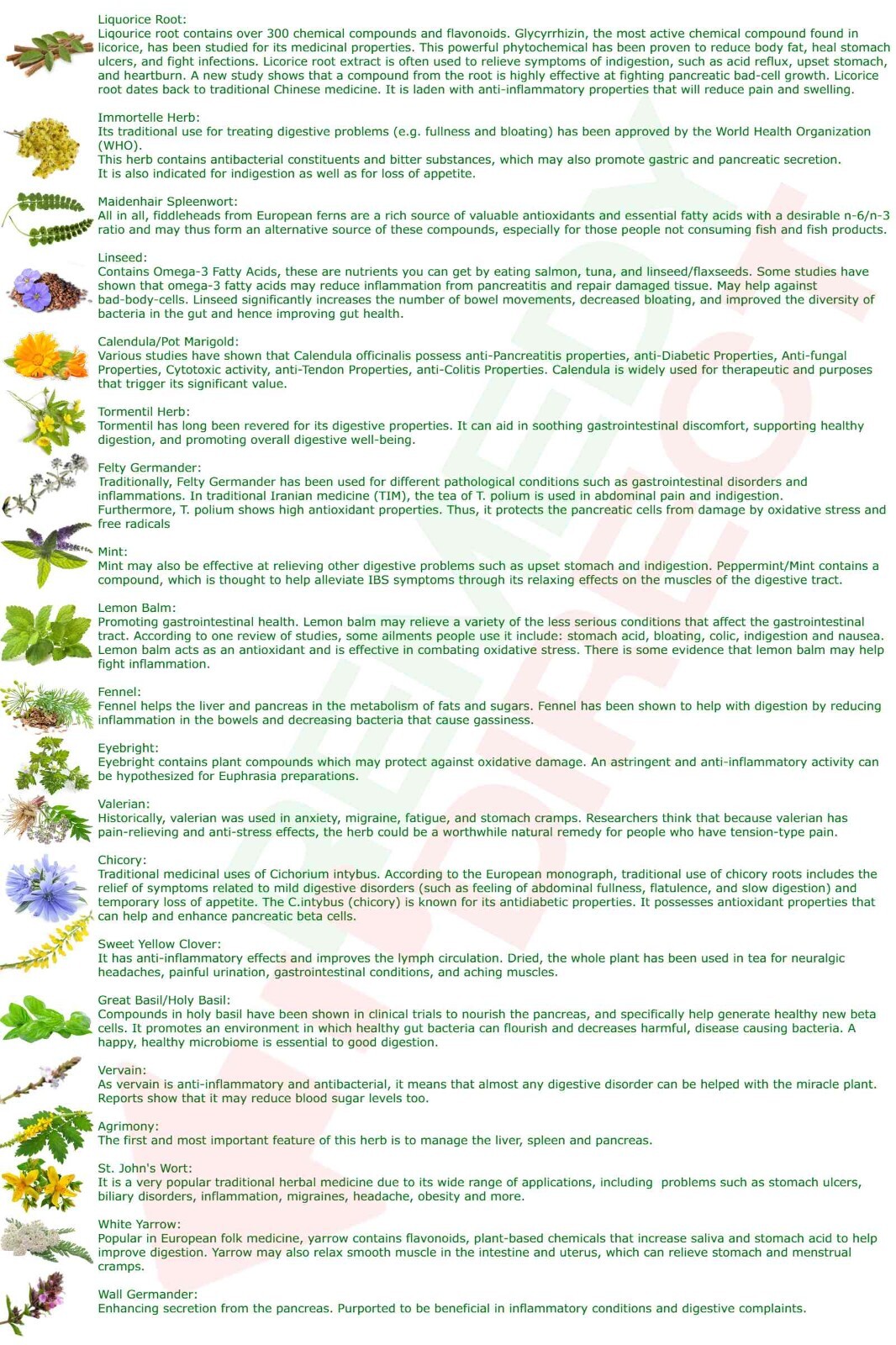 PANCREAS TEA Natural 20 Herbs Organic Herbal Pancreatic Support Care Relief 100g