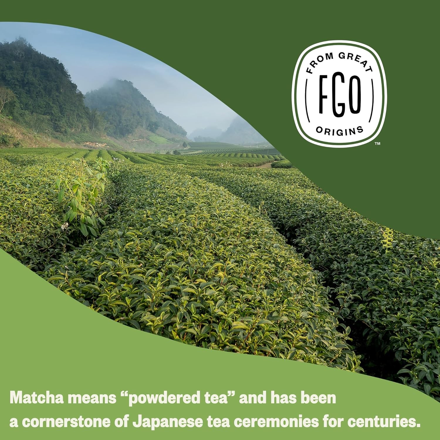 FGO Organic Matcha Green Tea Powder, Japanese Culinary 4 Ounce (Pack of 1)