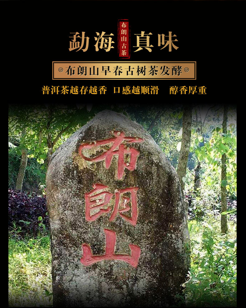 Xin Yi Hao Bulang Mountain 200 Years Old Tree Tuo Cha Pu-erh Tea 500g Ripe