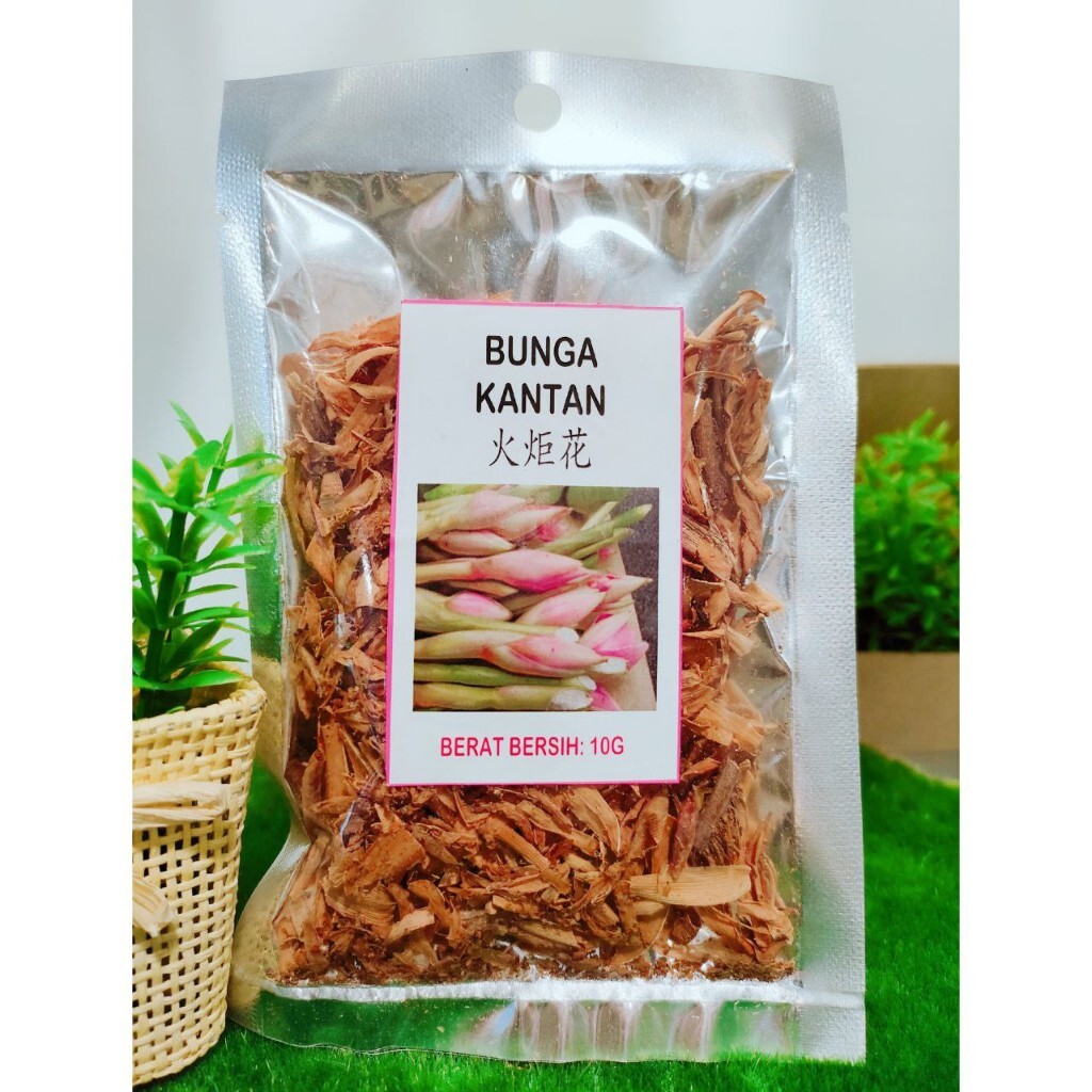 Bunga Kantan Torch Flower Dry 10g Expiry 2028 KNIPHOFIA UVARIA for Gastric