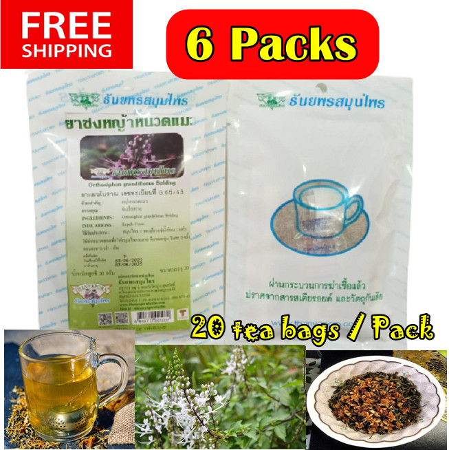 6X Java Tea Cat’s Whiskers Thai Herbal Organic Natural Orthosiphon Grandiflorus