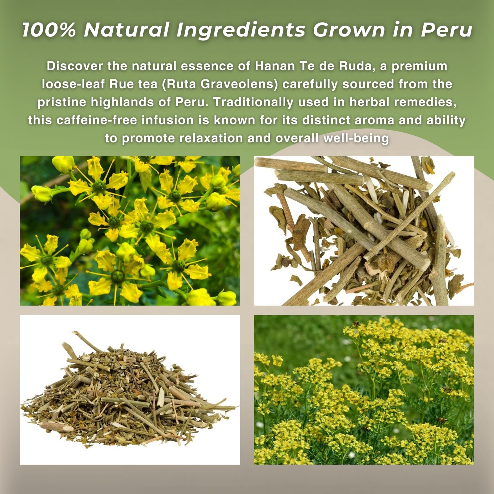 Hanan Ruda Herbal Tea 1.41 oz Rue Loose Leaf Herb of Grace from Peru