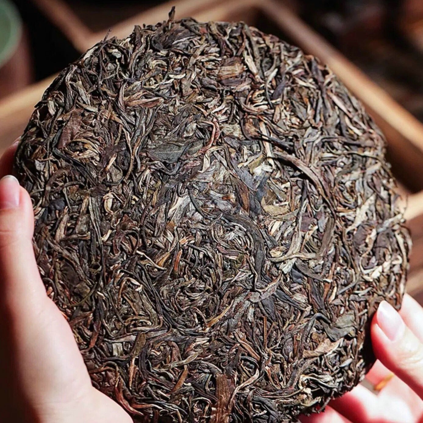 易武薄荷糖,單株,2012y,生茶,357g