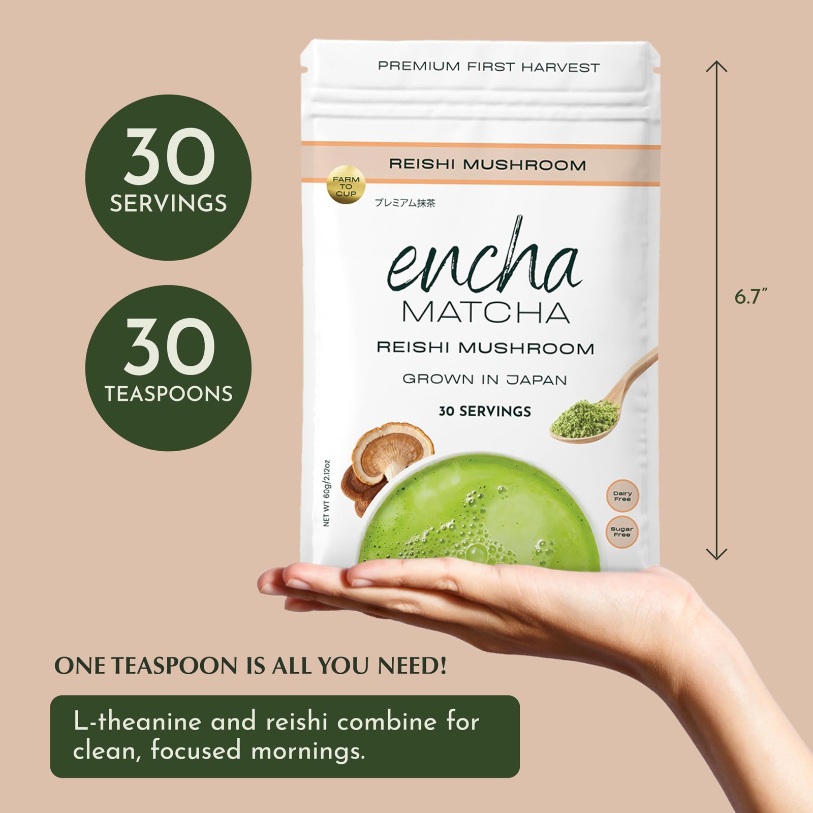 Encha Matcha Latte Powder Reishi Mushroom Matcha Powder First Harvest Prem…