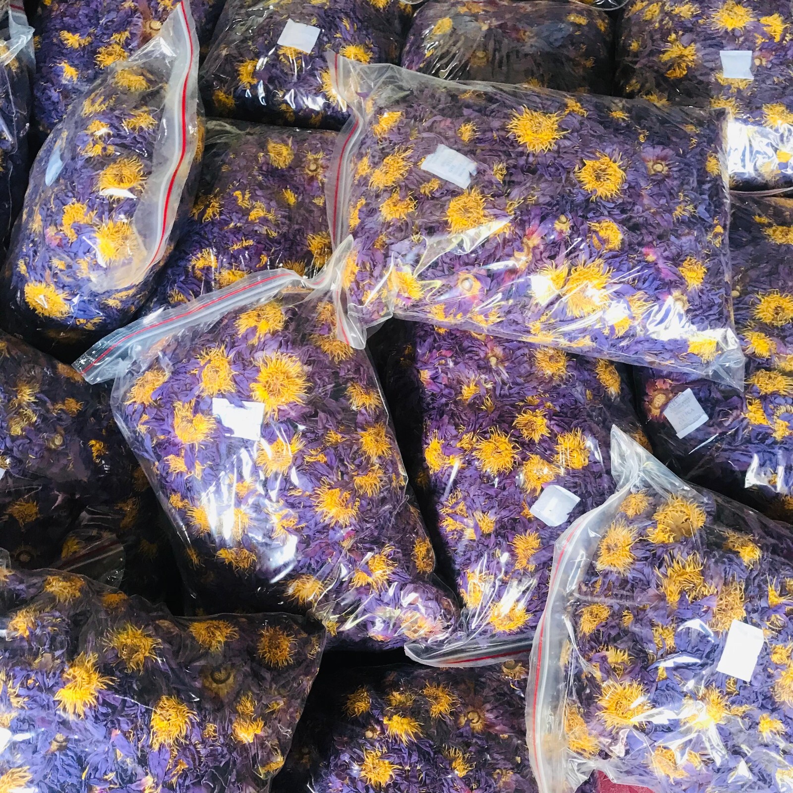 Ceylon Dried Blue Lotus NYMPHAEA CAERULEA 100% Organic 1kg Pure Whole Flowers