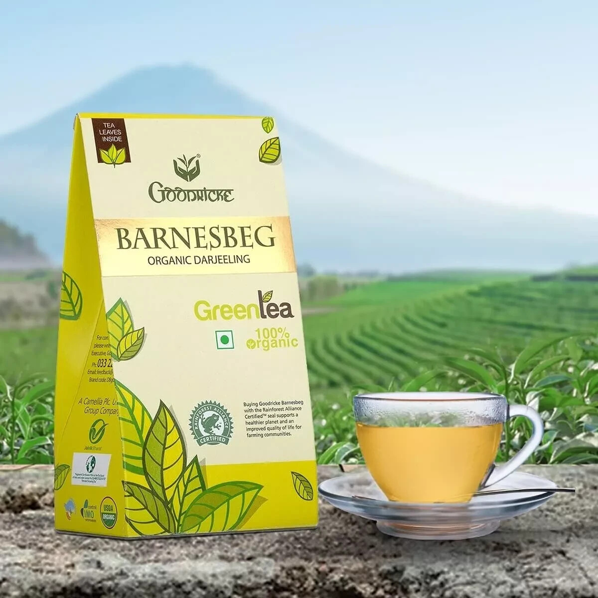 Goodricke Barnesbeg Organic Darjeeling Green Tea 100G Free Shipping World Wide