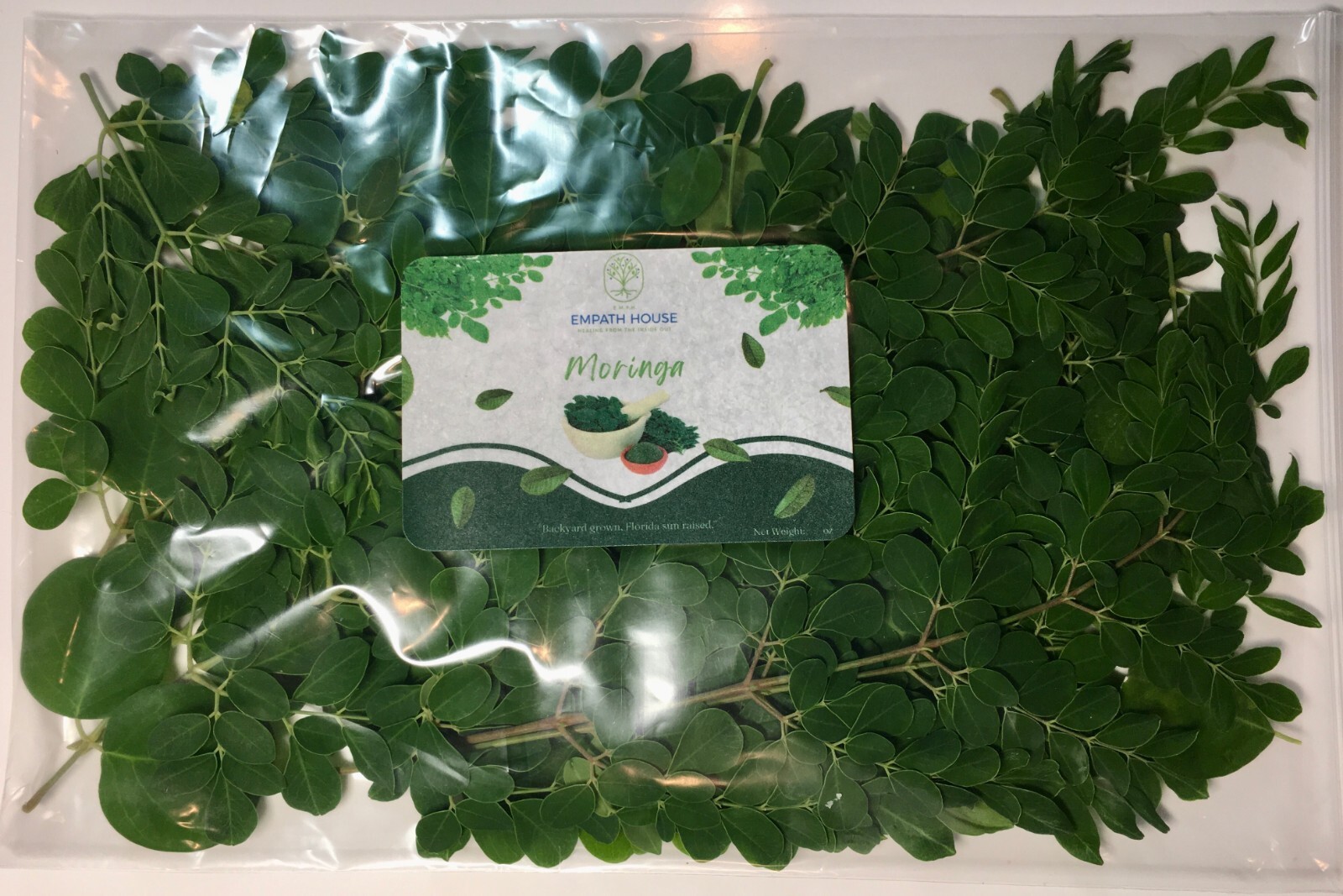 Fresh Mango Leaves Moringa Leaves & Avocado Leaf Mix Combination Freshly Picked