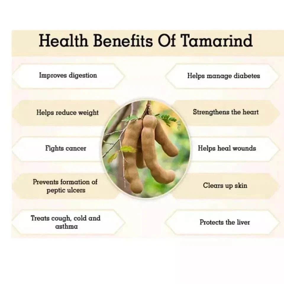 Dried Tamarind Paste Without Seeds PREMIUM Quality 100g Grade A