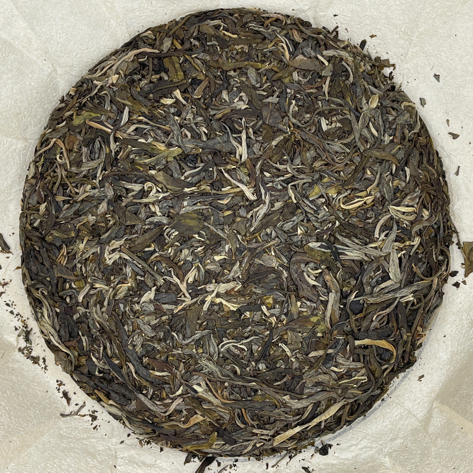 Pu-erh 普洱,2009,盛嘉源 SHENG JIA YUAN,倚邦 Ebon,357g,Raw
