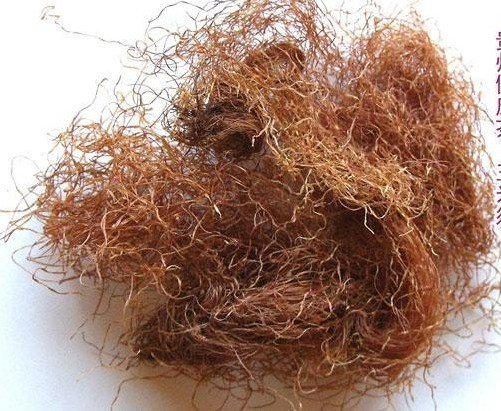 Corn Silk – 1lb – Barba de Elote Herb Tea – Corn Silk – Maize – Yu Mi Xu