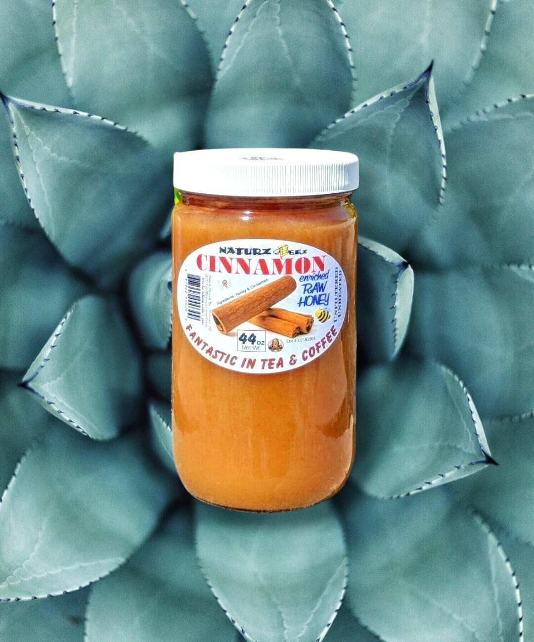 RAW HONEY and CINNAMON 2.75 Lbs / 44oz 100% PURE UNFILTERED USA HONEY