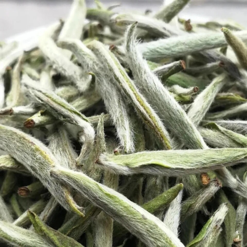50g Premium Silver Needle White Tea Fuding Original White Tea Specialty Tea