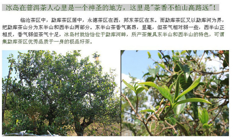 Natural Ripe PuEr Tea Ancient Old Tree Yunnan Pu’er 250g Energy Detox Tea