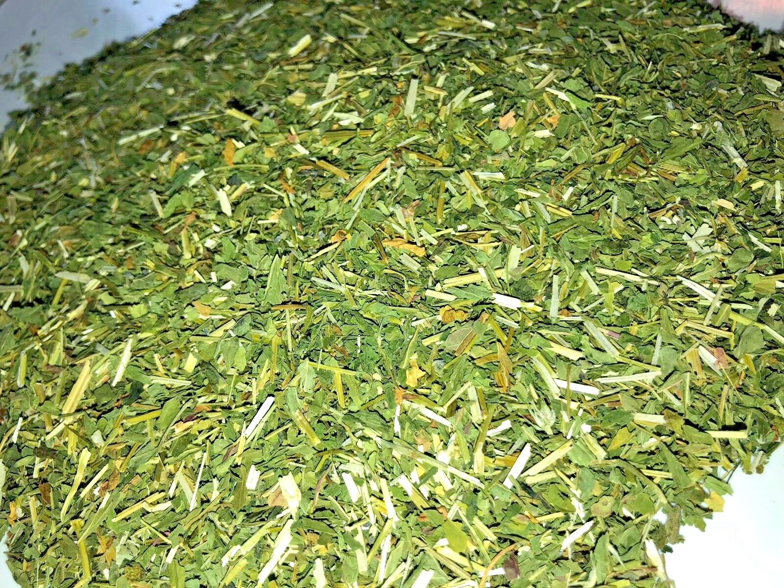 Certified Organic Mad Dog Weed Blue Skullcap Healing Herb – 1 ounce