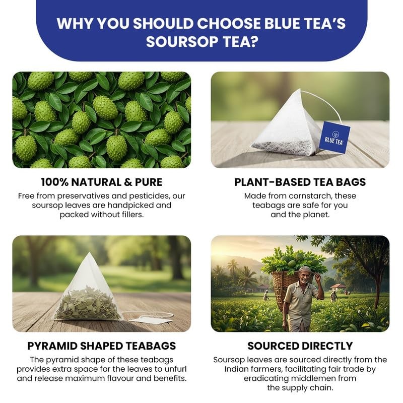 Soursop Tea 60 Count Pyramid Plant Based Tea Bags | Hoja Guanabana Tea | P…
