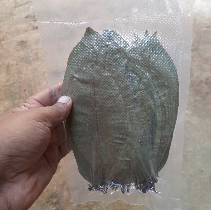 400+ Dried Soursop Leaves Annona HOJAS DE GUANABANA GRAVIOLA Quality Herbal Tea