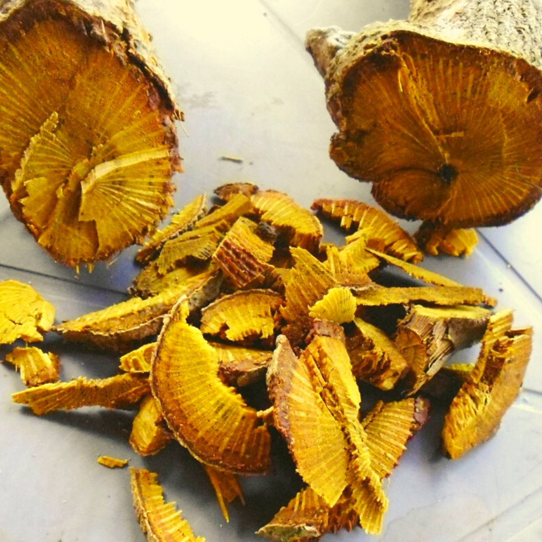 False Calumba Wood Powder | Ceylon Natural Organic Coscinium Fenestratum Herbal